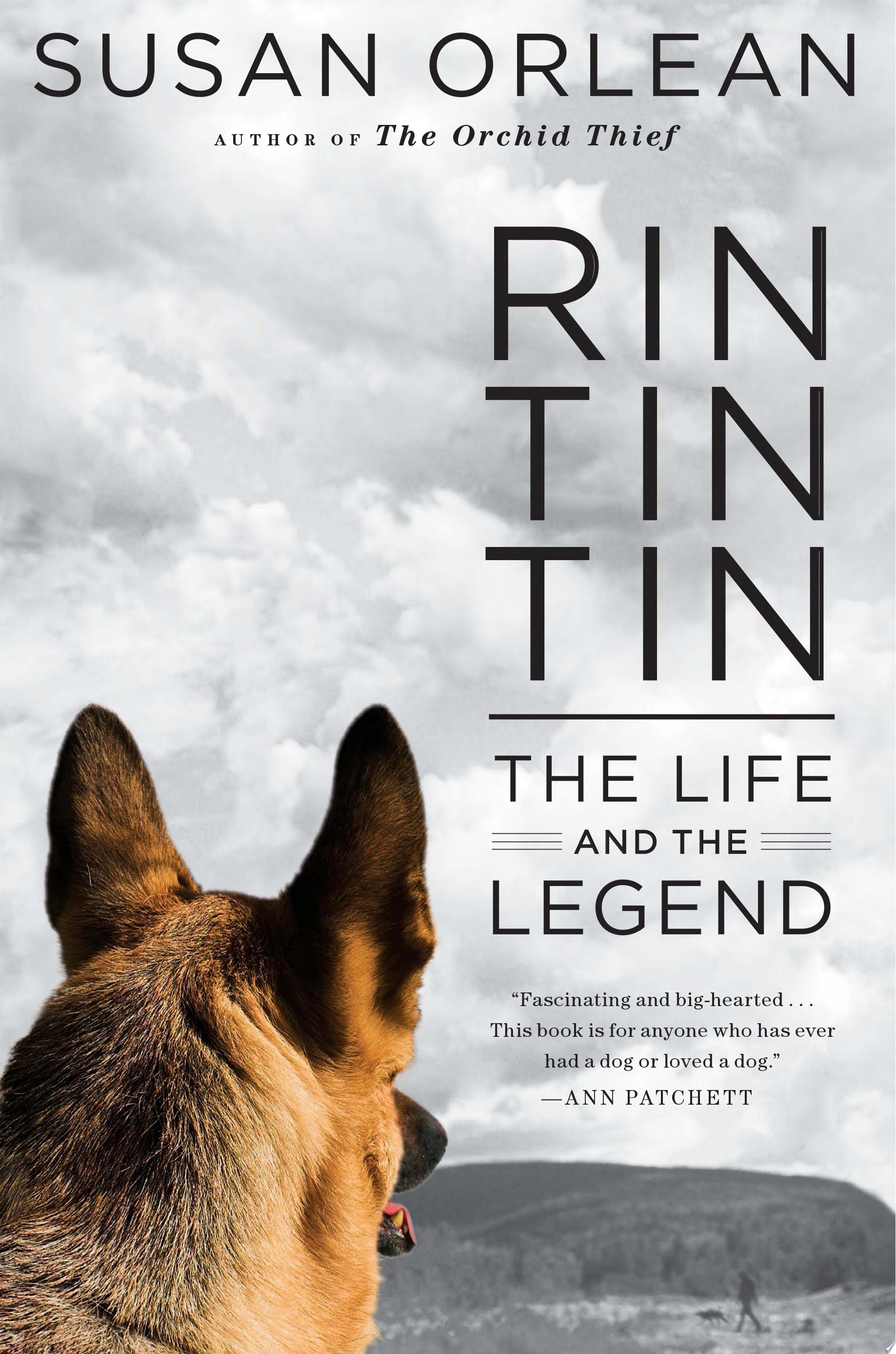 Image for "Rin Tin Tin"