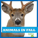 Image for "Animals in Fall"