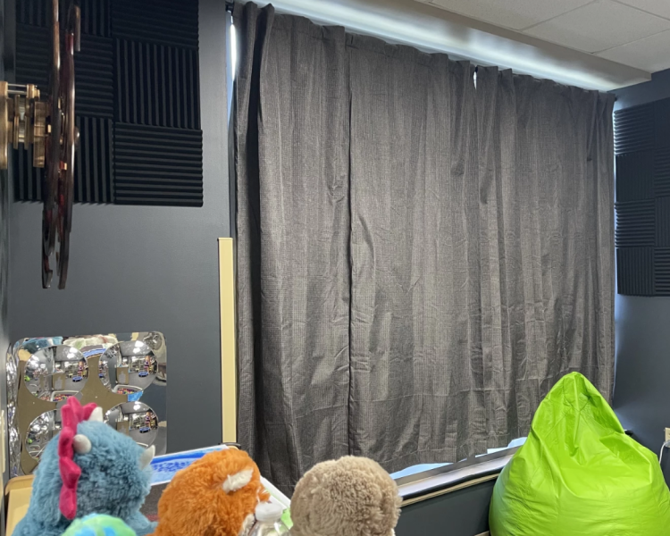 Room interior in dark colors with curtained window, kinetic sculpture, sound-dampening foam panels on walls, and brightly-colored stuffed toys and beanbag chair