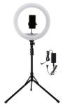17.5" Ring Light