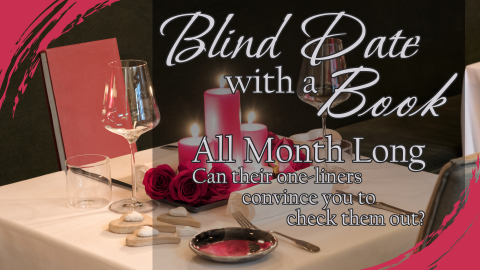 Blind Date with a Book, February 1st through 29th, intended for everyone 18 and up