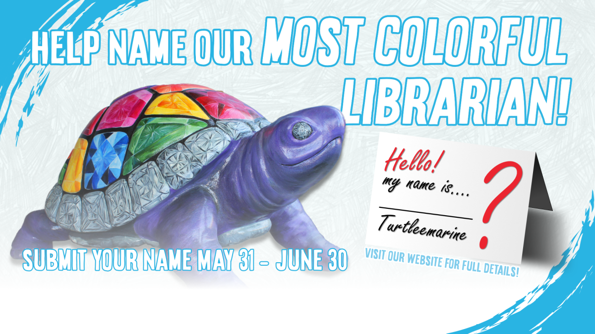 Submit your name for the library's turtle statue, May 31 through June 30.